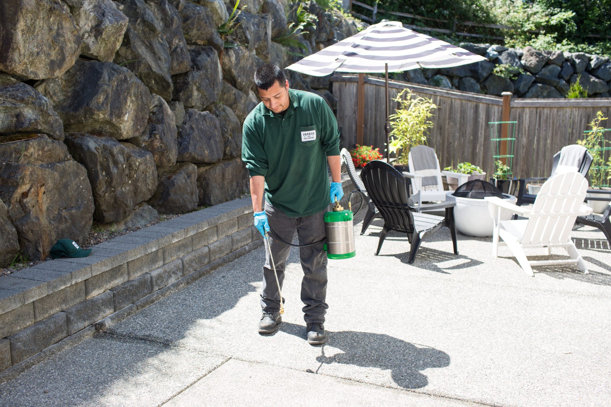 Find the Best Pest Control in Shoreline, Washington Parker Eco Pest