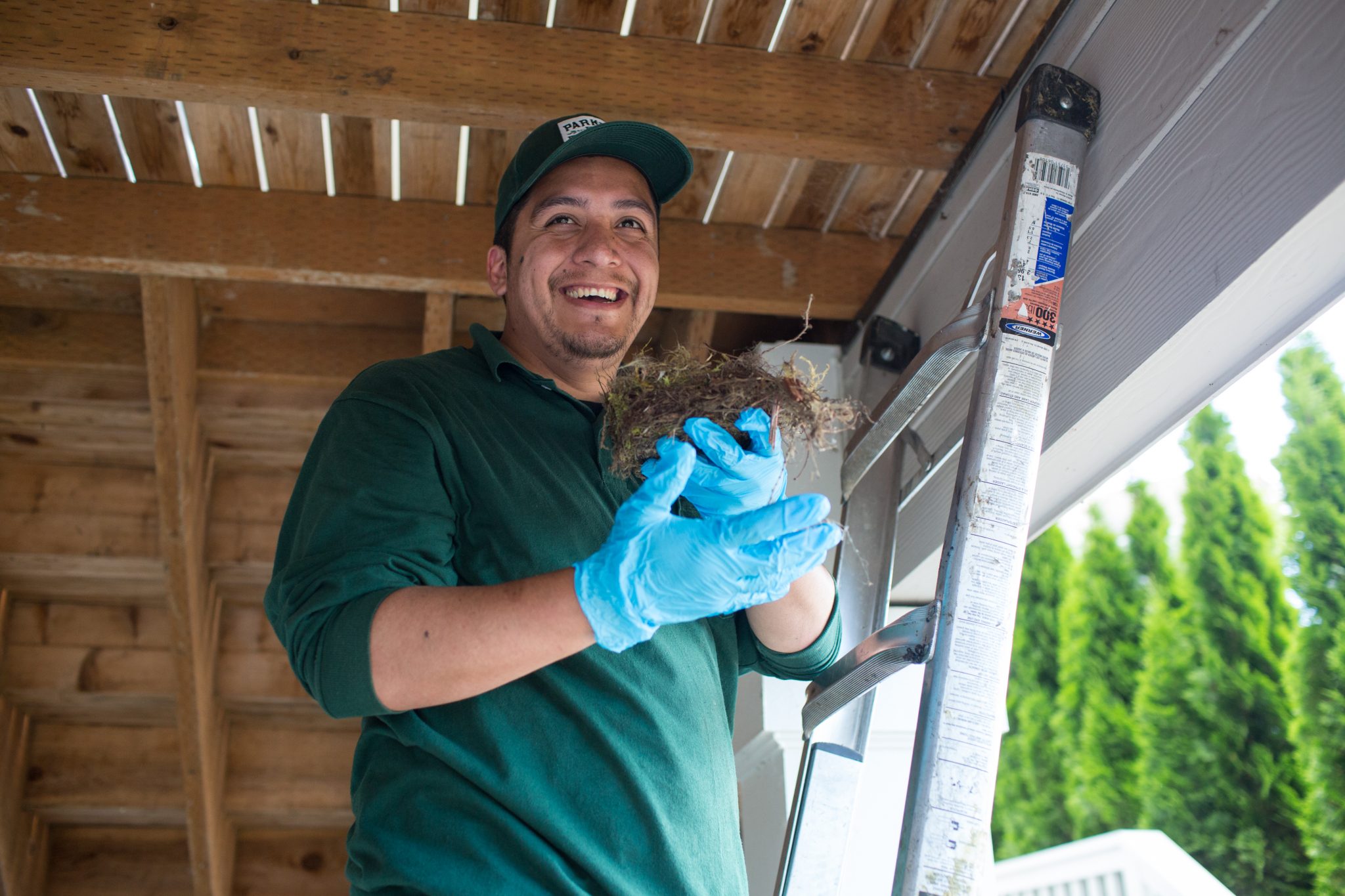 Find the Best Pest Control in Seattle, Washington Parker Eco Pest Control