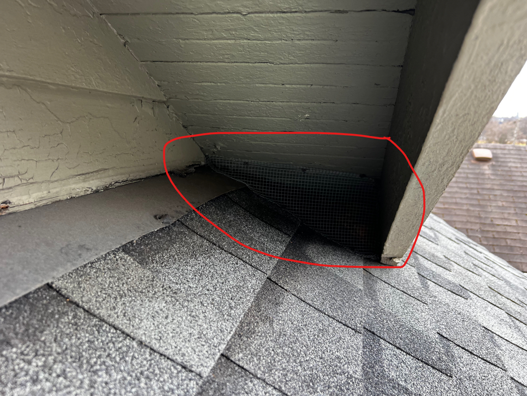 Parker Eco Pest Control in Lynden | Rats, ants, wasps,